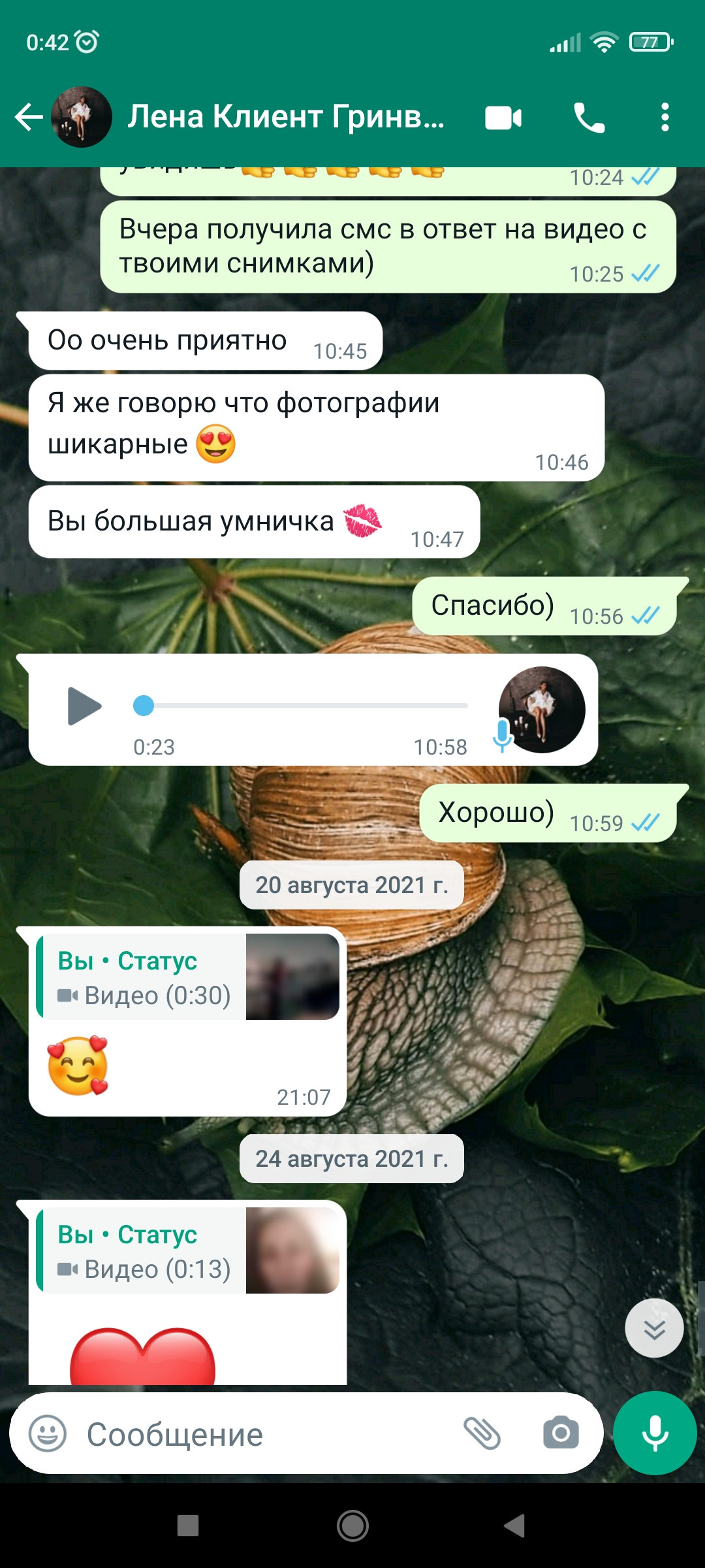 Фотограф  Марсуверских Татьяна. г. Жуковский отзывы. Фотограф для маркетплейсов, фотоуслуги в Жуковском Татьяна Марсуверских