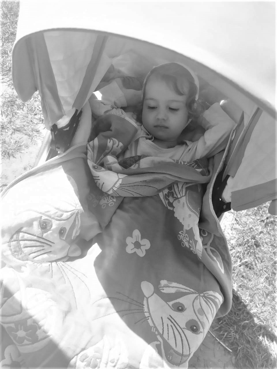 Фотограф Татьяна Марсуверских г. Жуковский, Москва и Мо. Репортажные съёмки, фотосессии,  фотограф анималист, фотосъёмка животных. Фотограф для маркетплейсов, фотоуслуги в Жуковском Татьяна Марсуверских