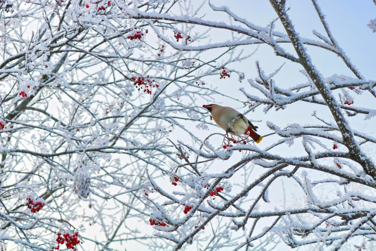 Фотограф Татьяна Марсуверских г. Жуковский, Москва. Репортажные съёмки, фотосессии, фотограф анималист, артфотограф, фотограф пейзажист. Фотограф для маркетплейсов, фотоуслуги в Жуковском Татьяна Марсуверских