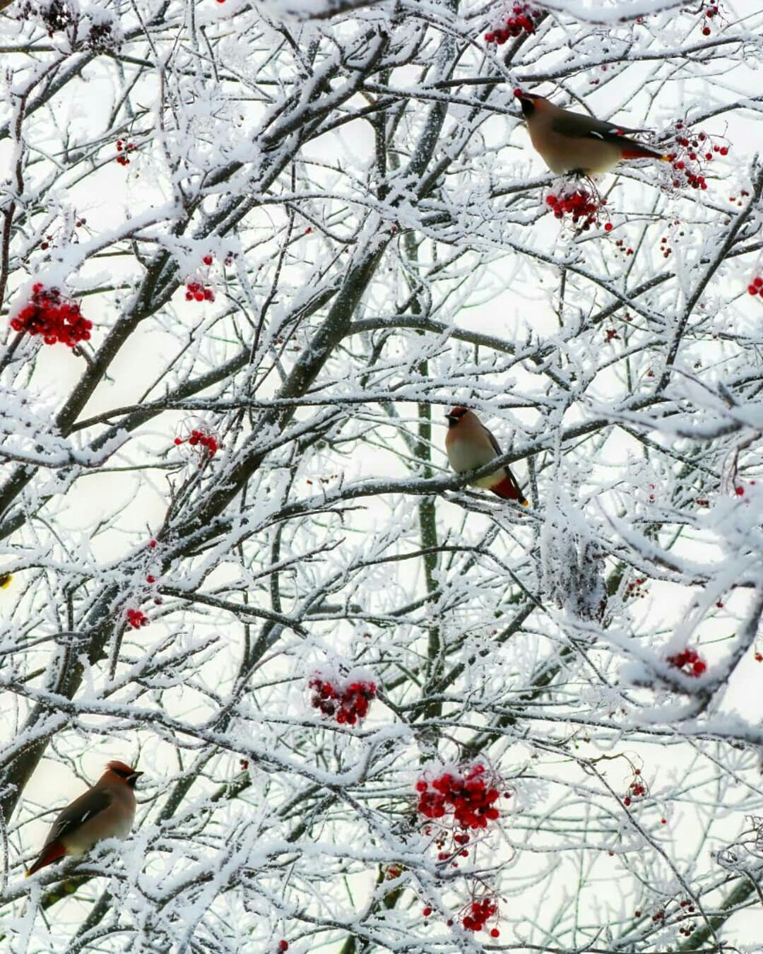 Фотограф Татьяна Марсуверских г. Жуковский, Москва. Репортажные съёмки, фотосессии, фотограф анималист, артфотограф, фотограф пейзажист. Фотограф для маркетплейсов, фотоуслуги в Жуковском Татьяна Марсуверских