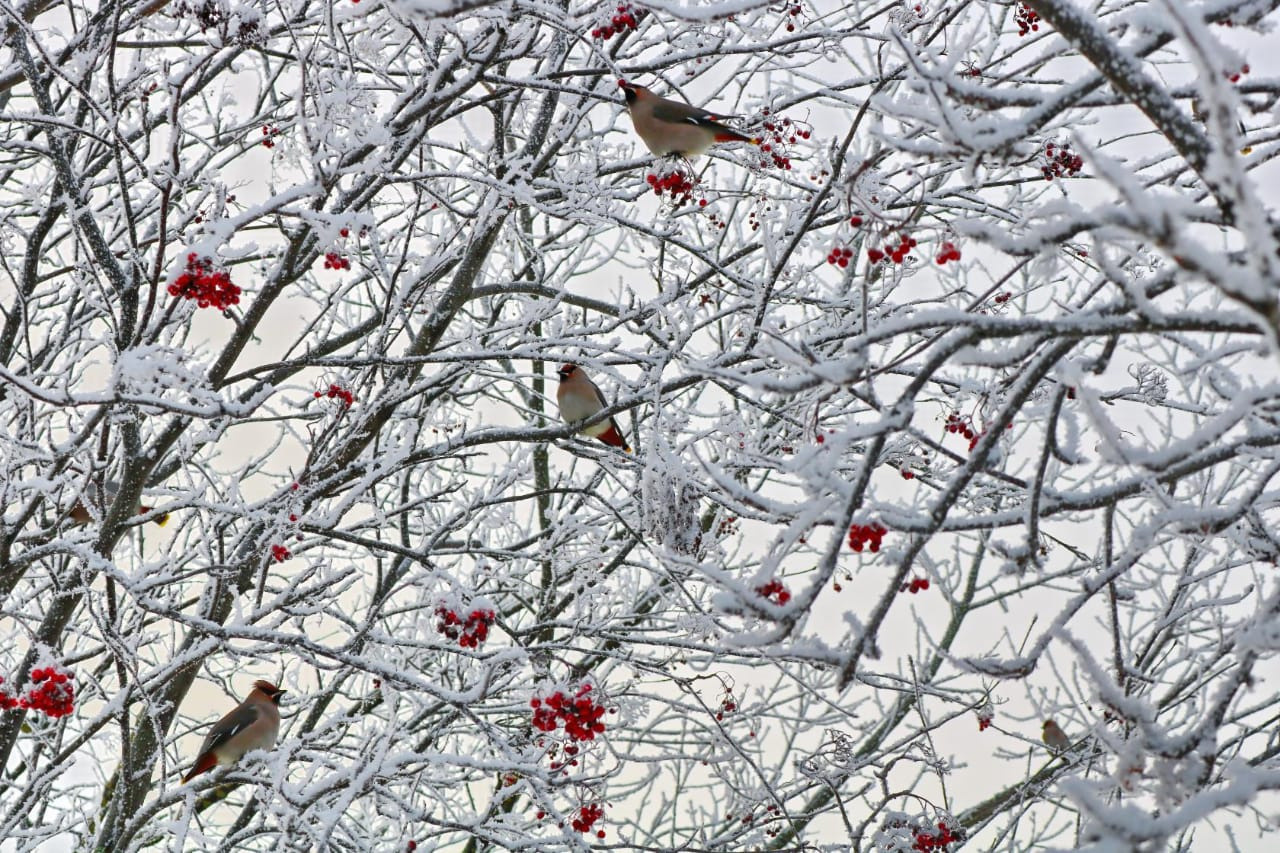 Фотограф Татьяна Марсуверских г. Жуковский, Москва. Репортажные съёмки, фотосессии, фотограф анималист, артфотограф, фотограф пейзажист. Фотограф для маркетплейсов, фотоуслуги в Жуковском Татьяна Марсуверских