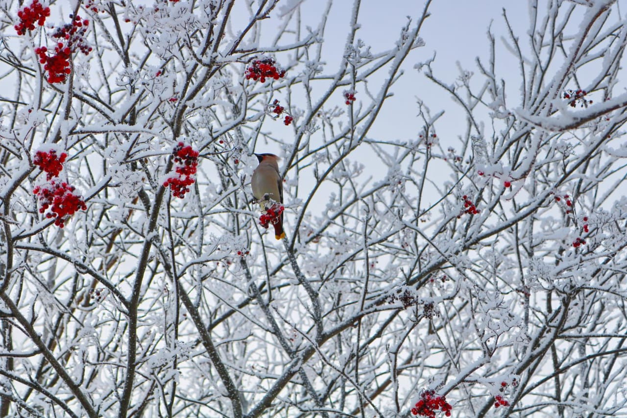 Фотограф Татьяна Марсуверских г. Жуковский, Москва. Репортажные съёмки, фотосессии, фотограф анималист, артфотограф, фотограф пейзажист. Фотограф для маркетплейсов, фотоуслуги в Жуковском Татьяна Марсуверских