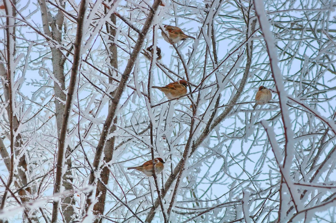 Фотограф Татьяна Марсуверских г. Жуковский, Москва. Репортажные съёмки, фотосессии, фотограф анималист, артфотограф, фотограф пейзажист. Фотограф для маркетплейсов, фотоуслуги в Жуковском Татьяна Марсуверских