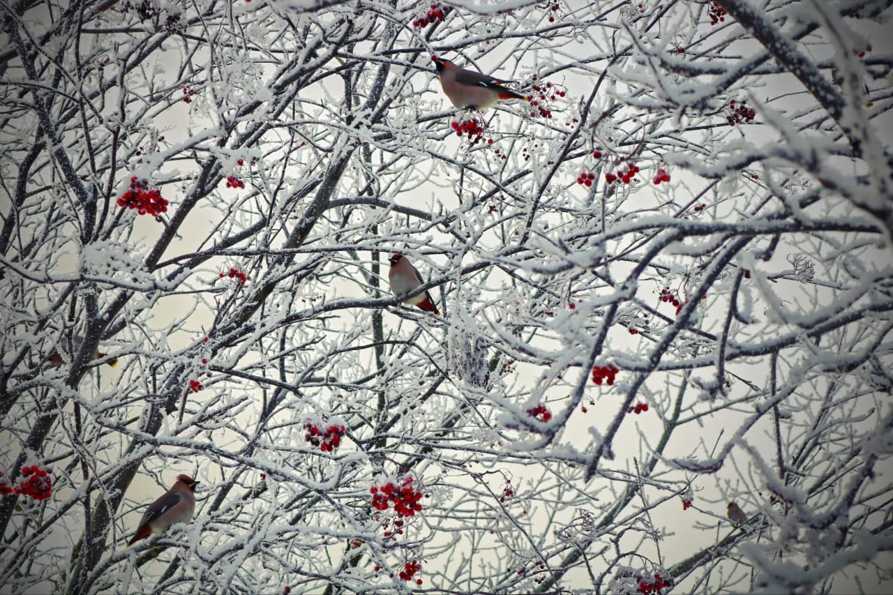Фотограф Татьяна Марсуверских г. Жуковский, Москва. Репортажные съёмки, фотосессии, фотограф анималист, артфотограф, фотограф пейзажист. Фотограф для маркетплейсов, фотоуслуги в Жуковском Татьяна Марсуверских