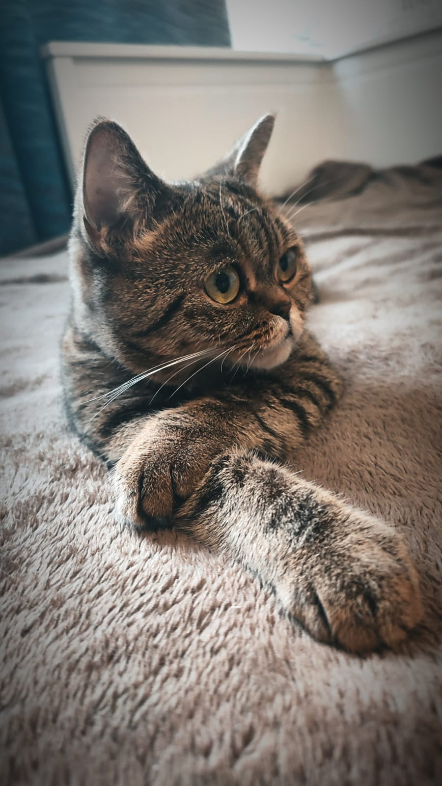 Фотограф Татьяна Марсуверских г. Жуковский, Москва и Мо. Репортажные съёмки, фотосессии,  фотограф анималист, фотосъёмка животных. Фотограф для маркетплейсов, фотоуслуги в Жуковском Татьяна Марсуверских