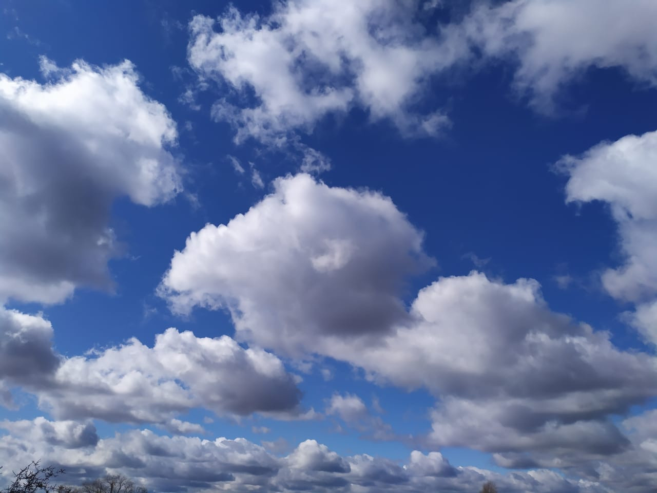 Фотограф Татьяна Марсуверских г. Жуковский, Москва. Репортажные съёмки, фотосессии, фотограф анималист, артфотограф, фотограф пейзажист. Фотограф для маркетплейсов, фотоуслуги в Жуковском Татьяна Марсуверских