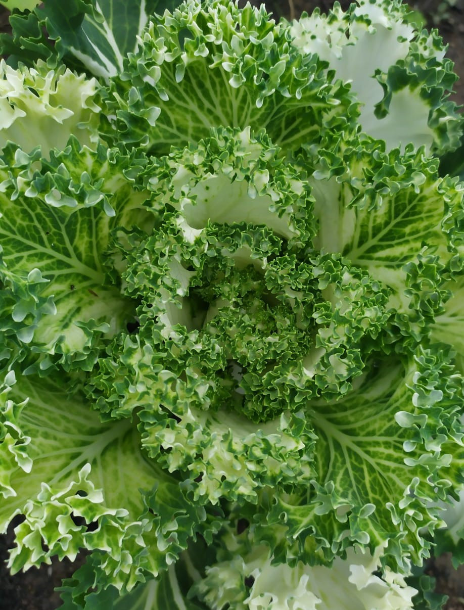 Фотограф Татьяна Марсуверских г. Жуковский, Москва. Репортажные съёмки, фотосессии, фотограф анималист, артфотограф, фотограф пейзажист. Фотограф для маркетплейсов, фотоуслуги в Жуковском Татьяна Марсуверских