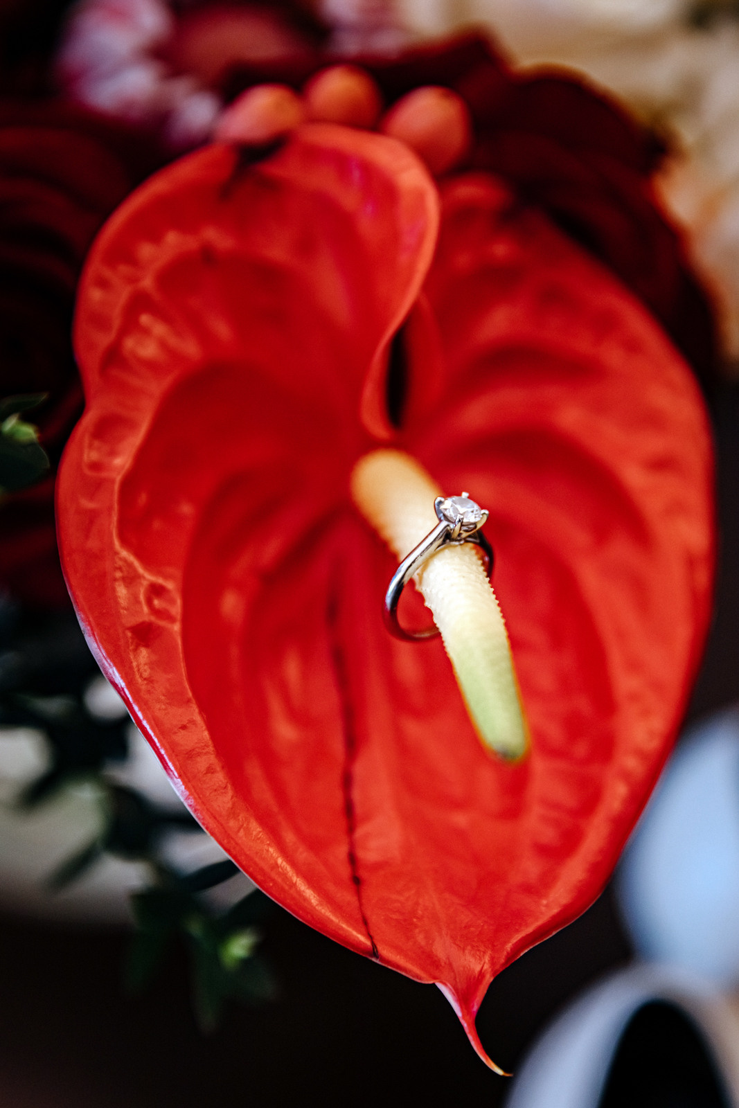 Даниил & Натали. Портретный фотограф в Санкт-Петербурге Саша Гореликова