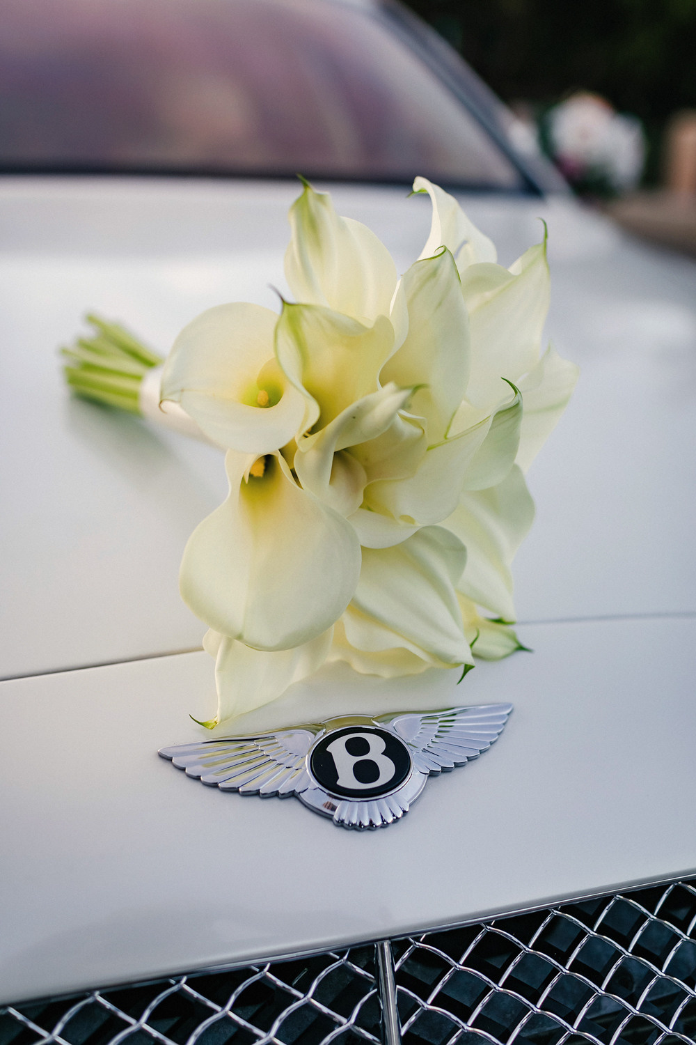 Георгий & Валерия. Портретный фотограф в Санкт-Петербурге Саша Гореликова