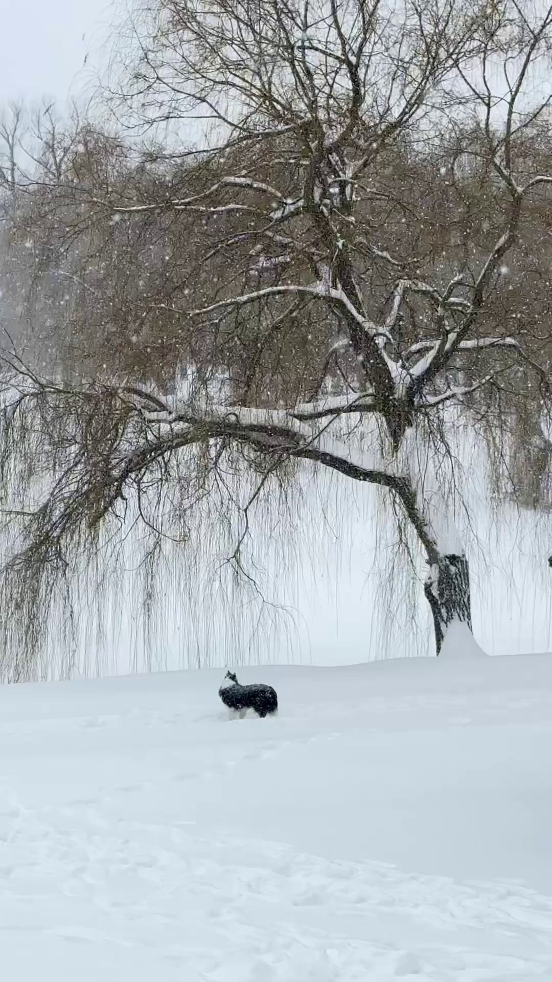 Захлестнуло волной «Междумирья» Матушки Медоуз. Студия фото, видеографии и мультимедийного дизайна в Москве Multi Frame Studio