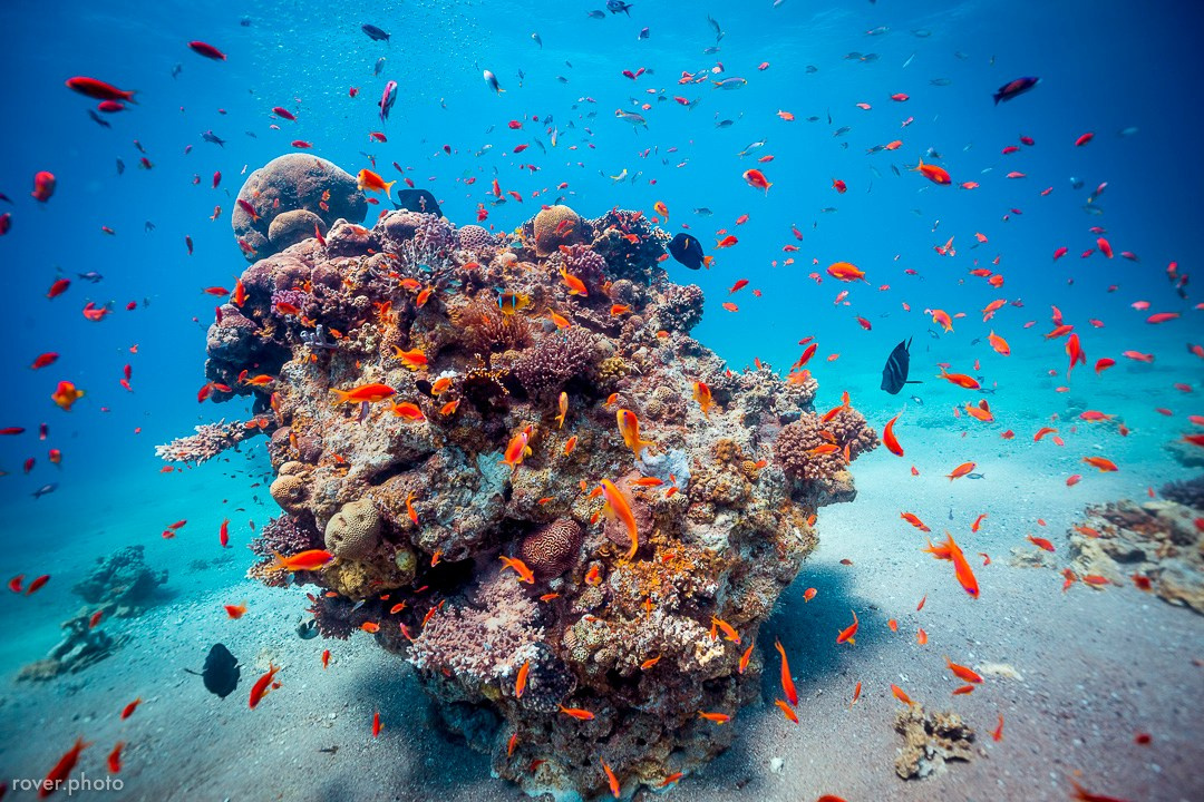 ЯХТЫ / МОРЕ / ПУТЕШЕСТВИЯ. Сложная съёмка для бизнеса b2b / Яхтенный фотограф / Корпоративные календари / Промышленная съёмка / Спортивный репортаж