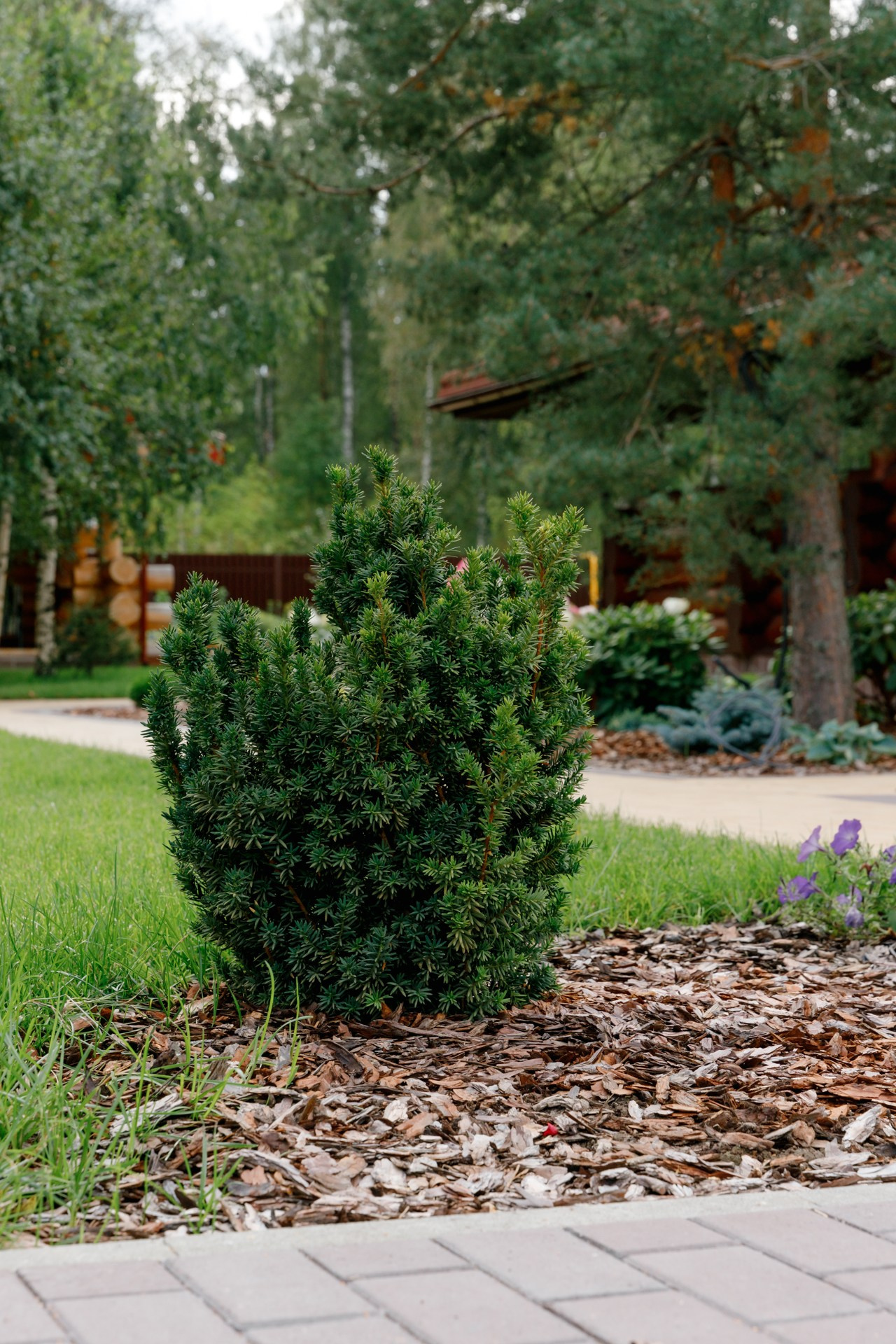 Загородный дом. Ландшафтный дизайн. Репортажный фотограф в Санкт-Петербурге Жолудев Владислав