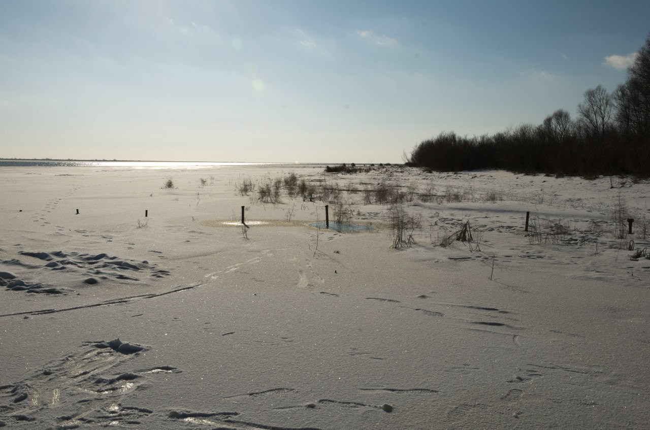 Великий Новгород | 27-28.02.2016. Галерея Фантим