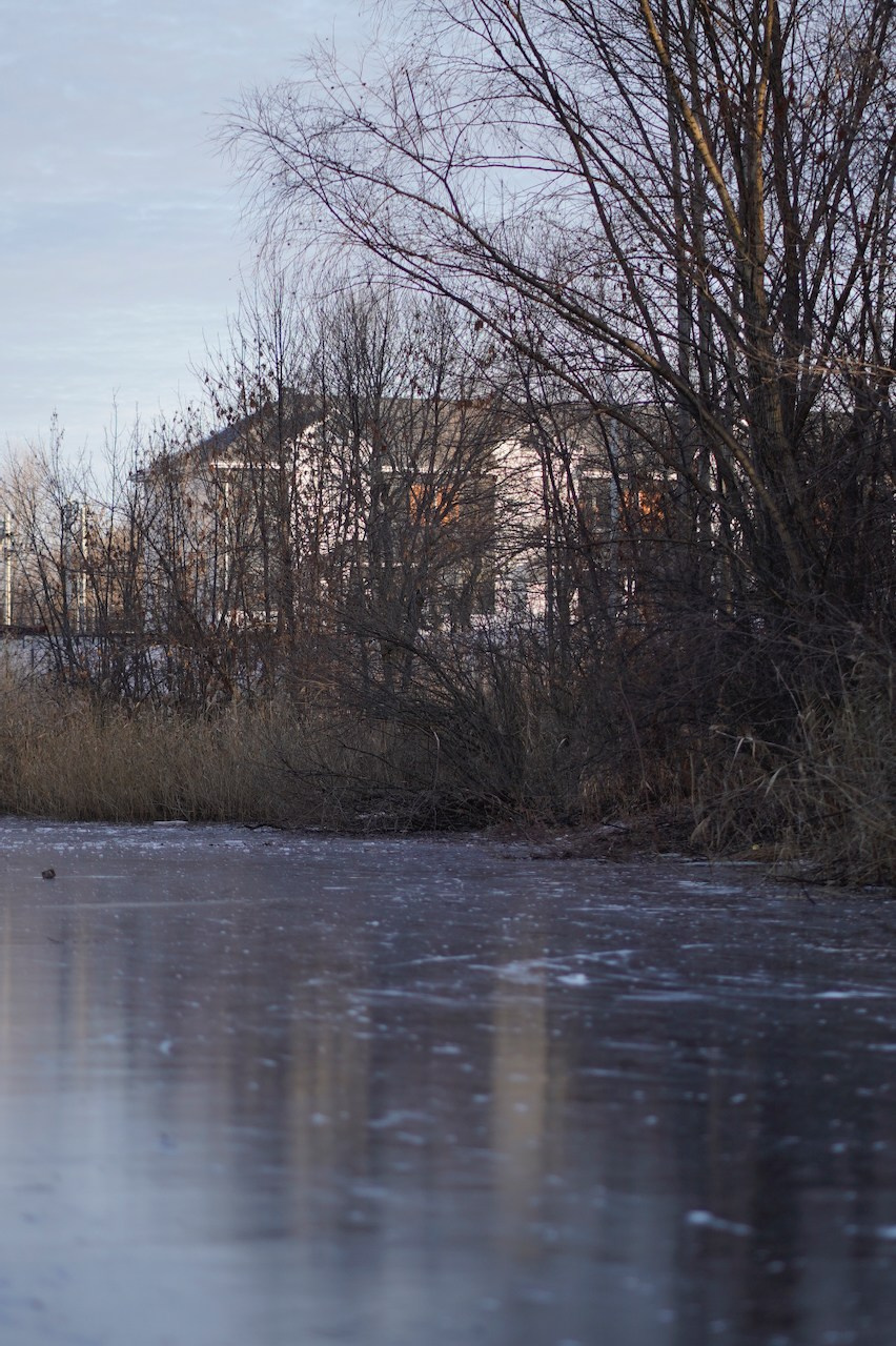 ЖК Приозерный. Das House