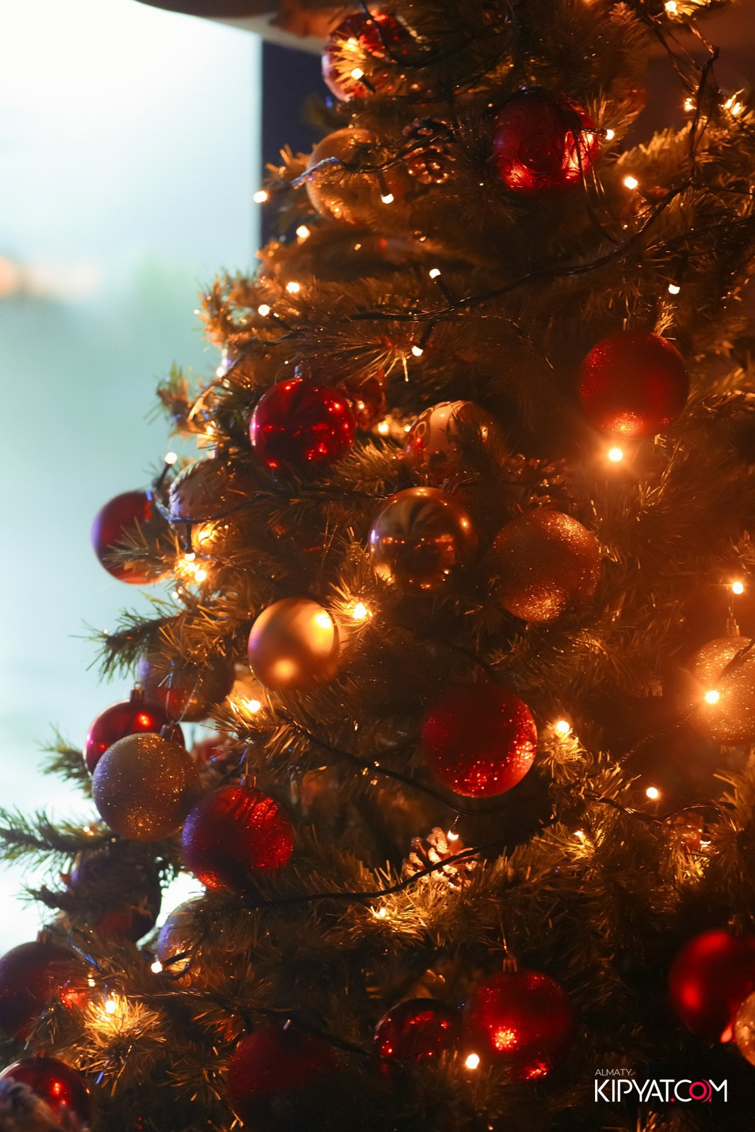 OLOVO BASR НА САТПАЕВА. КИПЯТКОМ АЛМАТЫ!