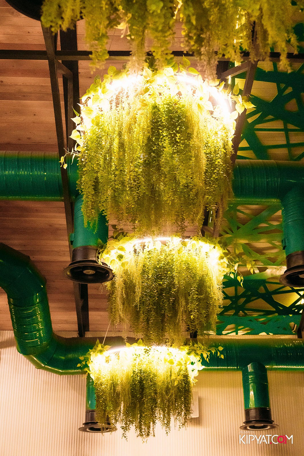 MODI RESTORANCHIK. КИПЯТКОМ АЛМАТЫ!