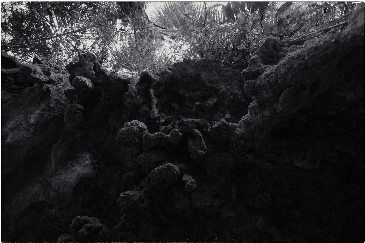 Таиланд. Портретный и репортажный фотограф в Санкт-Петербурге Дарья Сибирякова