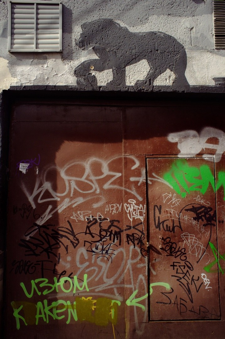 Внутри витрин / Inside the storefronts. Руслан Шувалов (поэтограф)