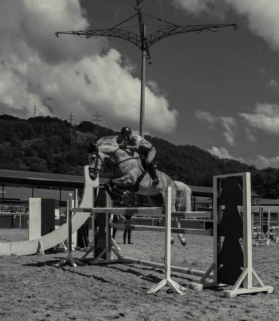 Фотосессии с лошадьми в Сочи