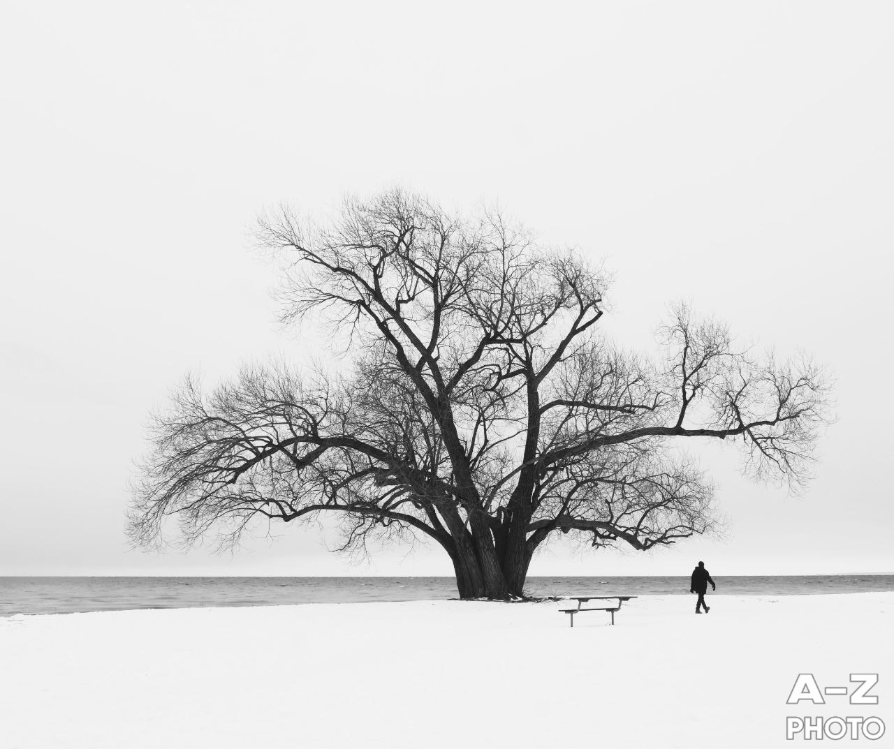 #ФОТОНЕДЕЛИ 26.01.2026. Женский семейный фотограф Тула Москва Захарова Анна
