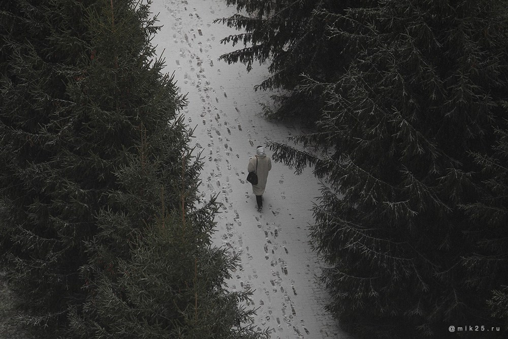 Двадцать пятый. Mik25