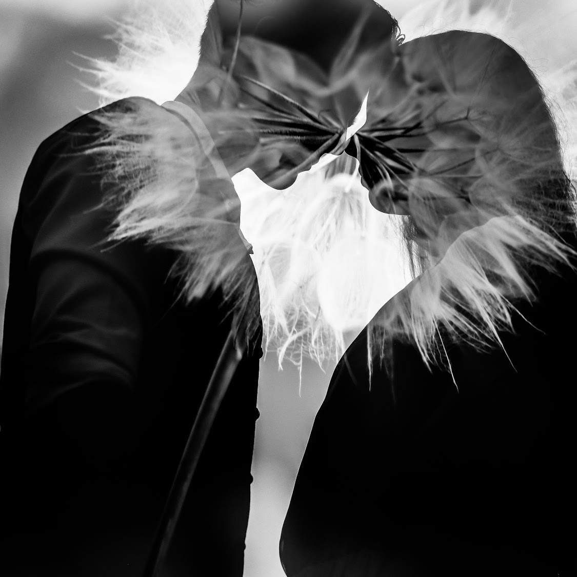 Разное. Николай Манвелов — свадебный фотограф в Армавире. Фотокурсы, обучение