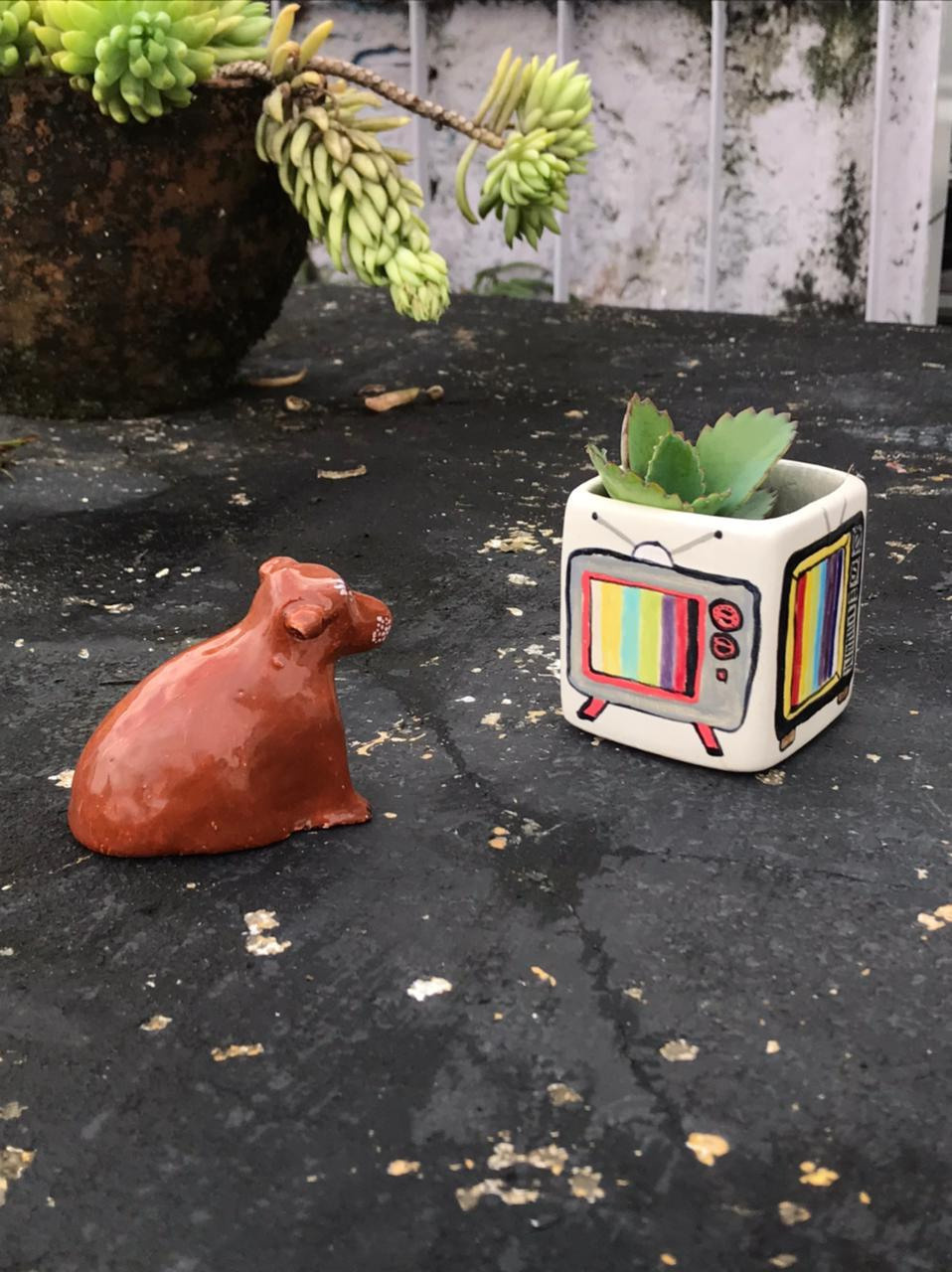 Ceramics project. Xexexena.ru