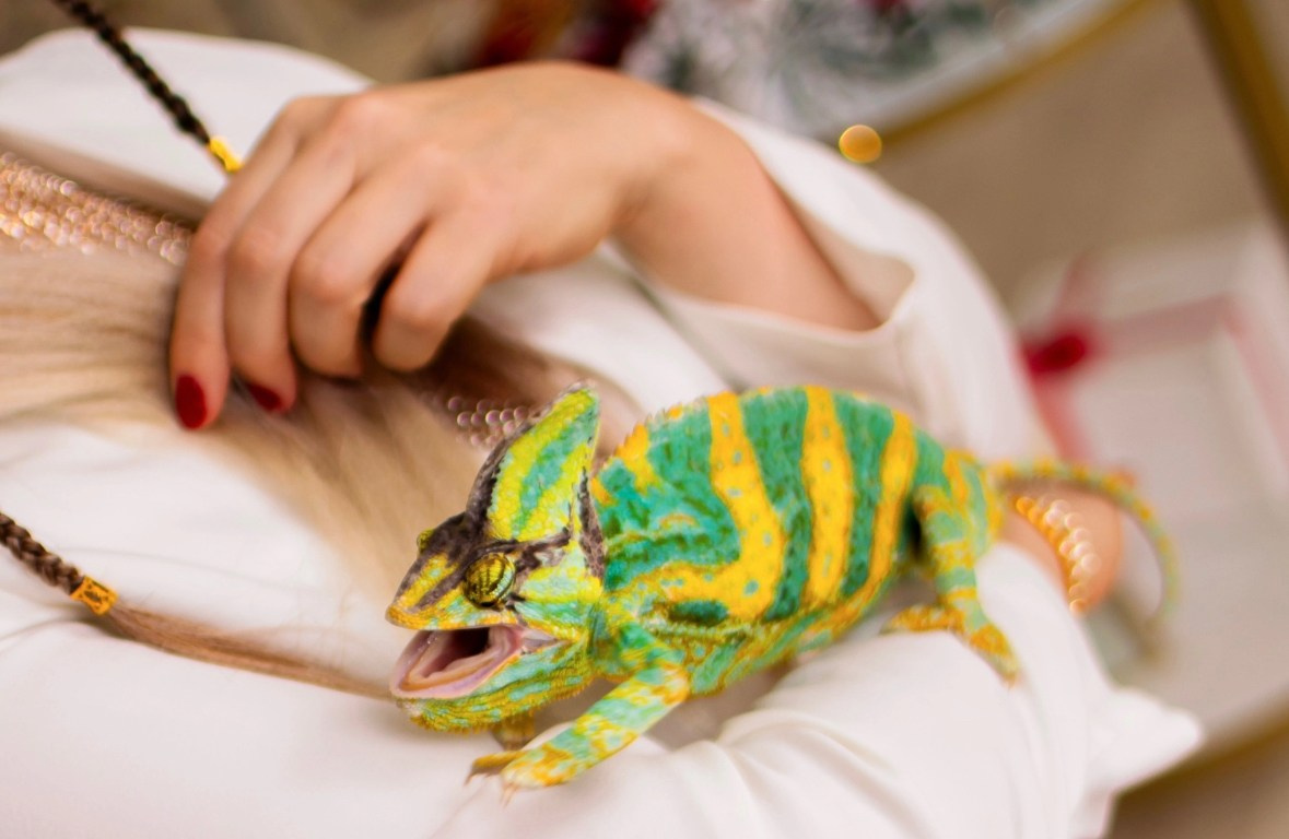 НОВОГОДНИЕ. Фотограф крещений, семейный фотограф Приходько Ксения