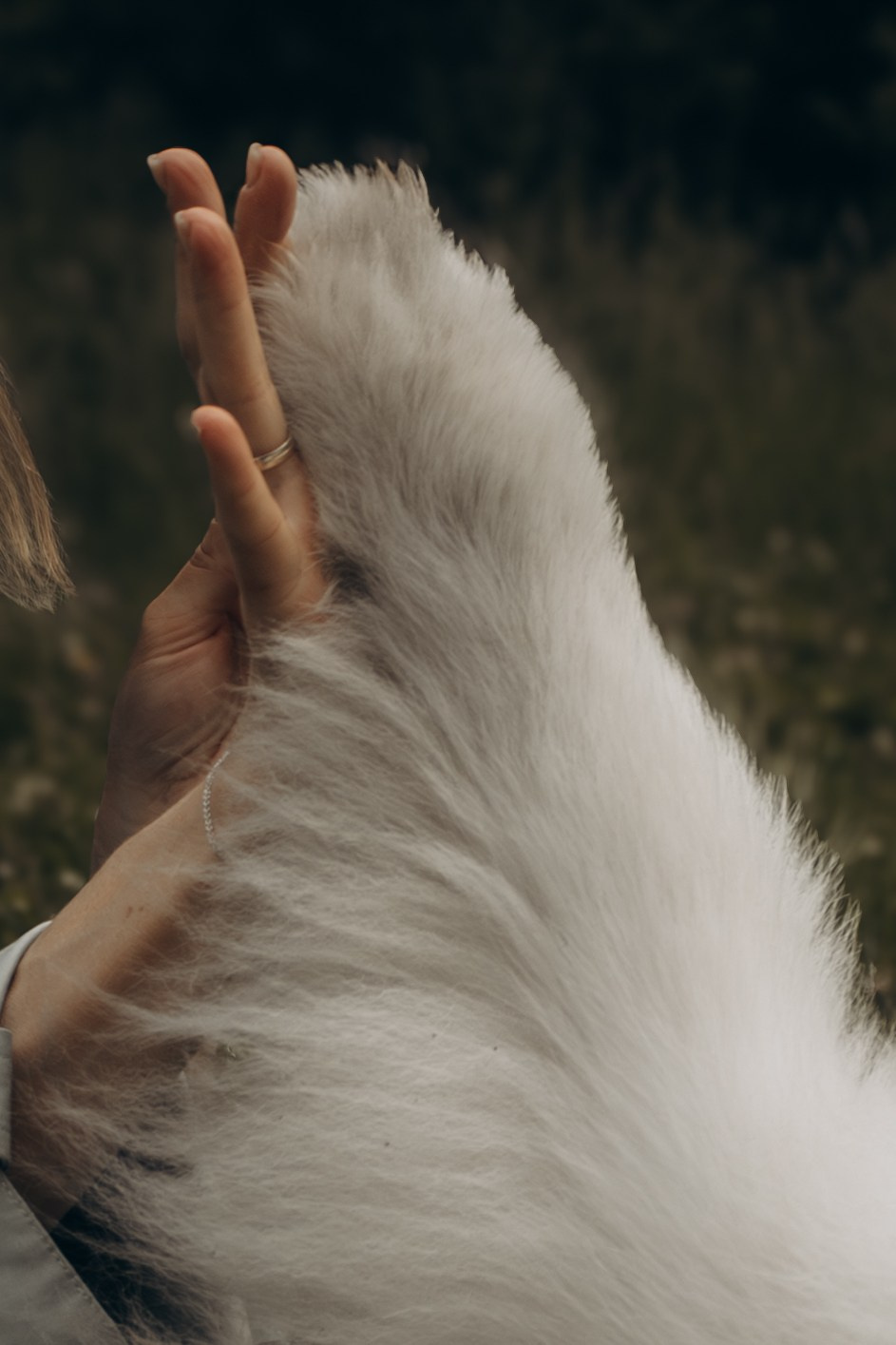 Фотосессия с ребенком и собакой в парке. Фотограф-анималист в Москве Екатерина Тихонова