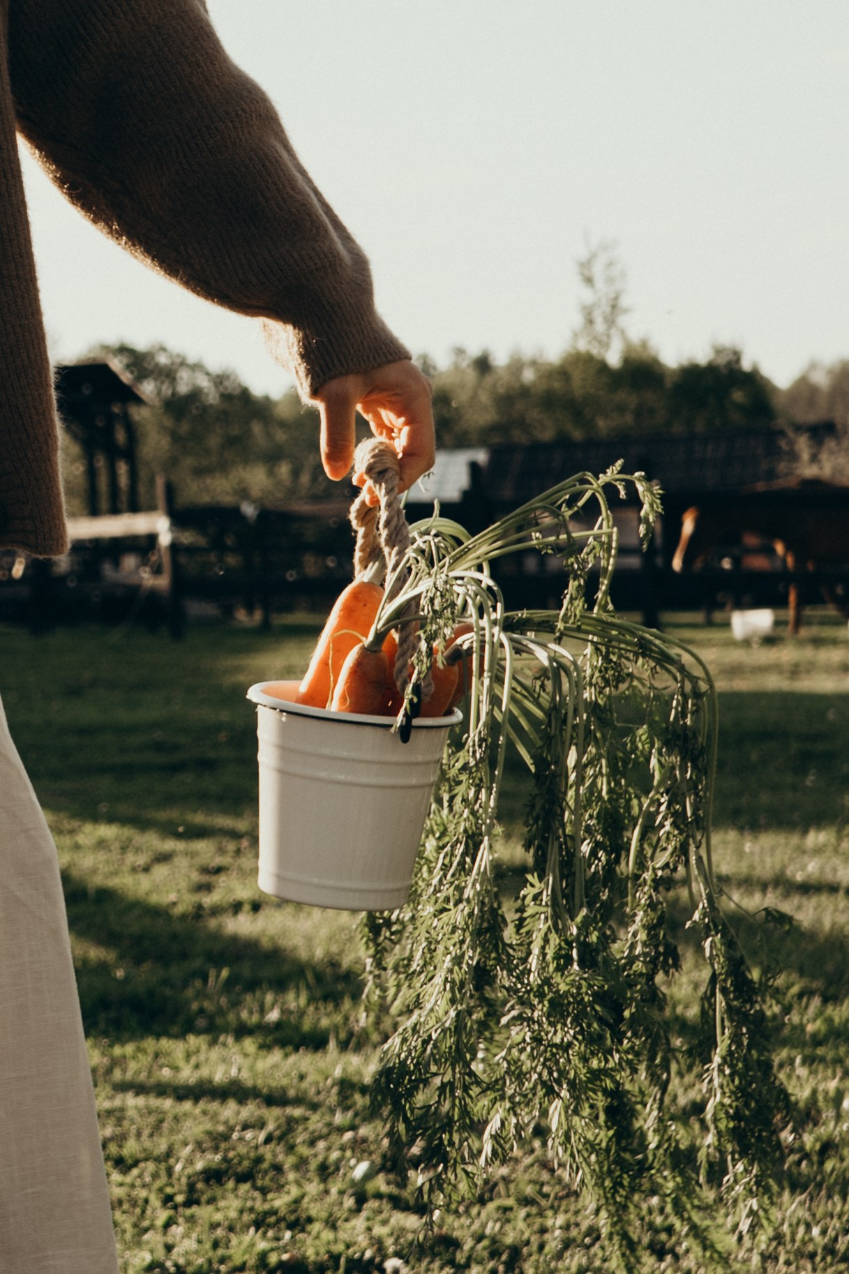 Люба, Анечка и Тёма. Сайт фотографа Светланы Еремченко