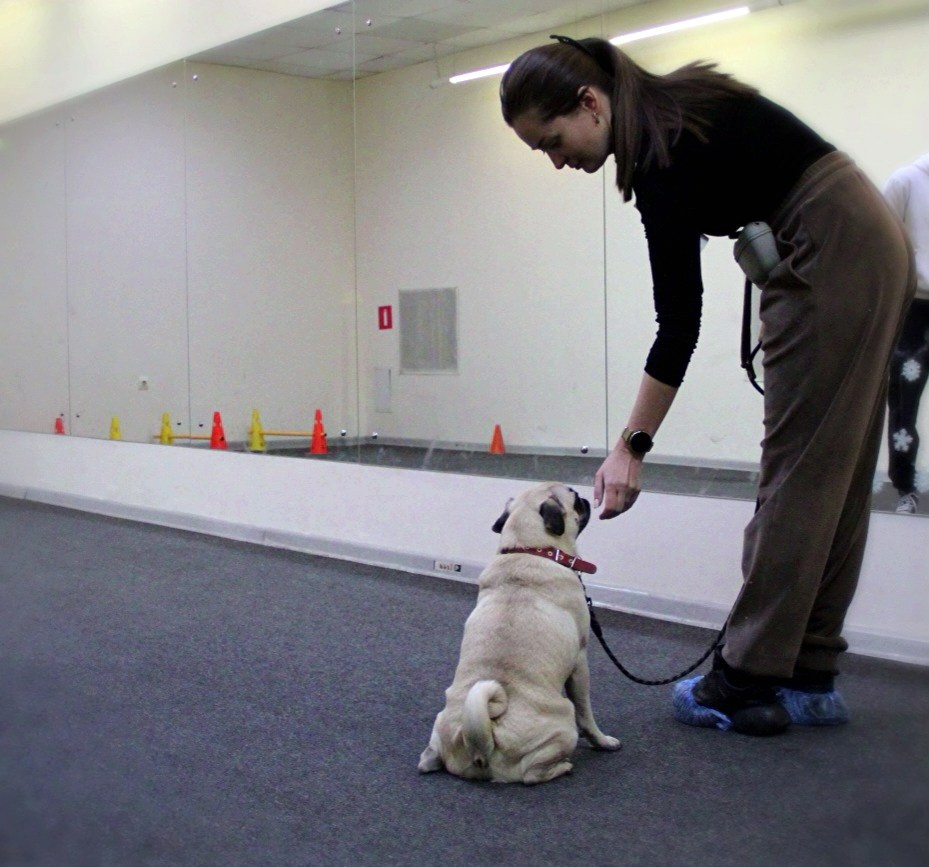 Репортаж УС «ДЦ Ральф». Катя Попова|ЛайфСтайл фотограф