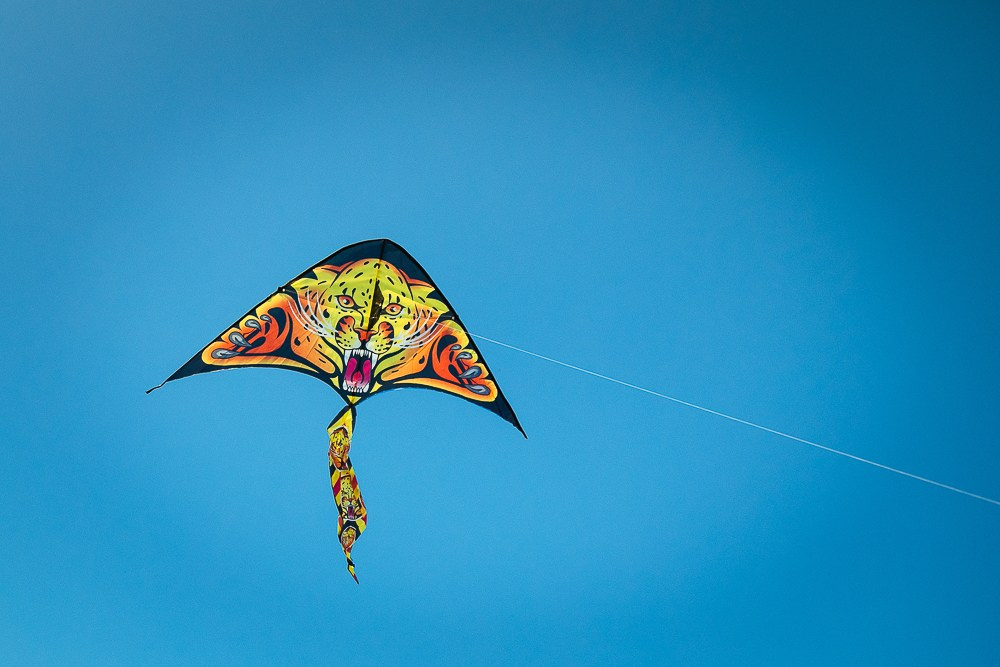 Саша. Главная