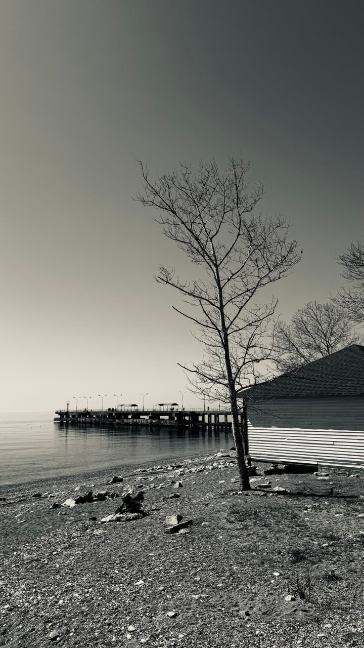 Пицунда. Профессиональные фотосессии в Москве| Евгения Черенкова