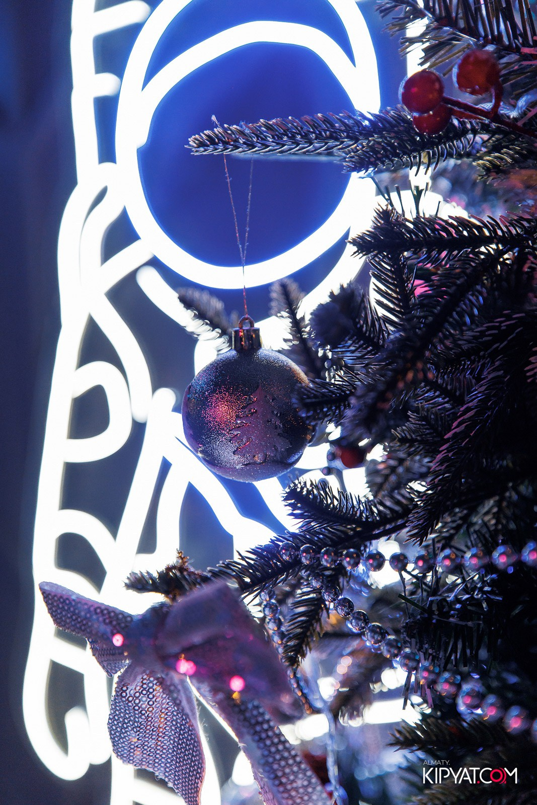 VICE CITY. КИПЯТКОМ АЛМАТЫ! Фотосъемка мероприятий в Алматы