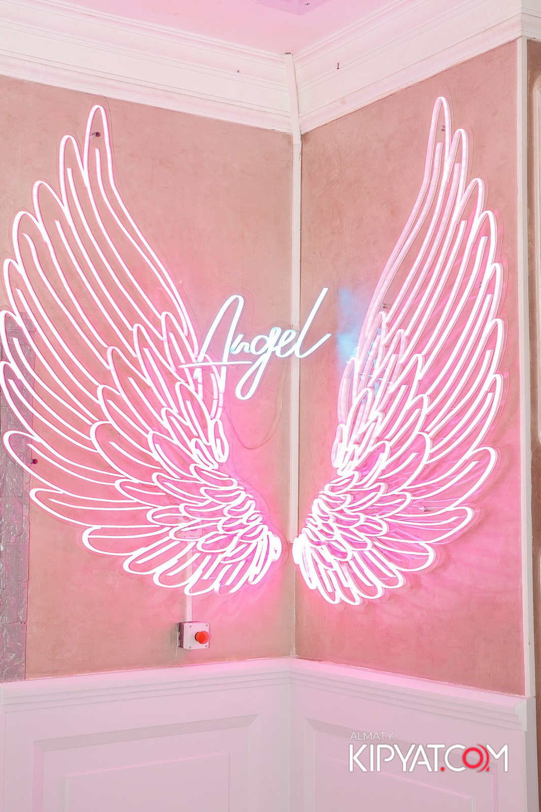 УХО И МЕДВЕДЬ НА КУРМАНГАЗЫ. КИПЯТКОМ АЛМАТЫ!