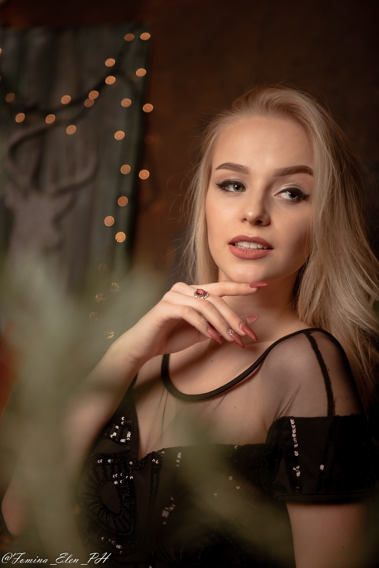 Новогодняя для Натальи. Фомина Елена Свадебный и семейный фотограф