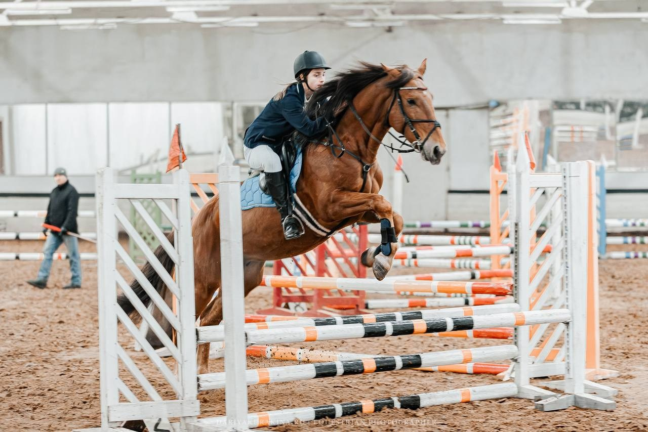 ЧЕМПИОНАТ РАМЕНСКОГО ГОРОДСКОГО ОКРУГА ПО КОНКУРУ в КСК «СОЗВЕЗДИЕ». Куракина Дарья • Конный фотограф