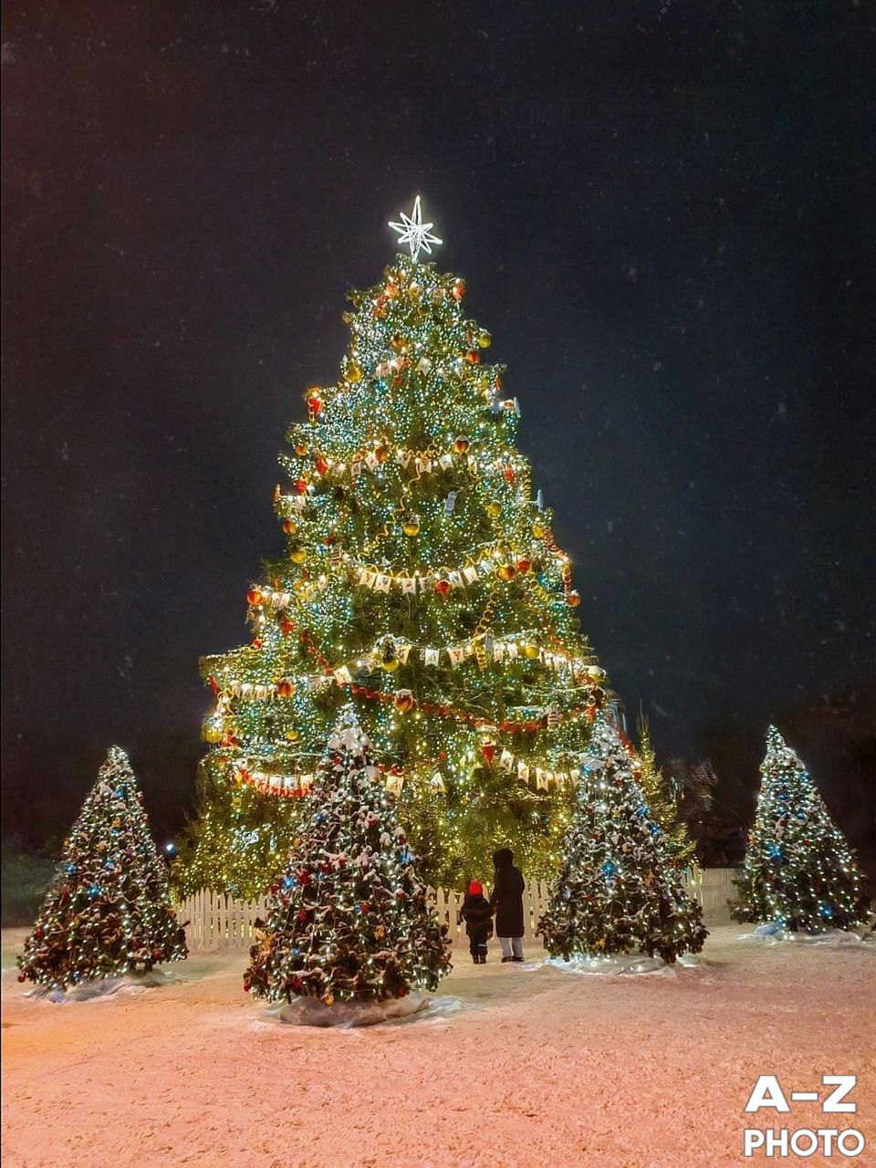 #ФОТОНЕДЕЛИ 19.01.2026. Женский семейный фотограф Тула Москва Захарова Анна