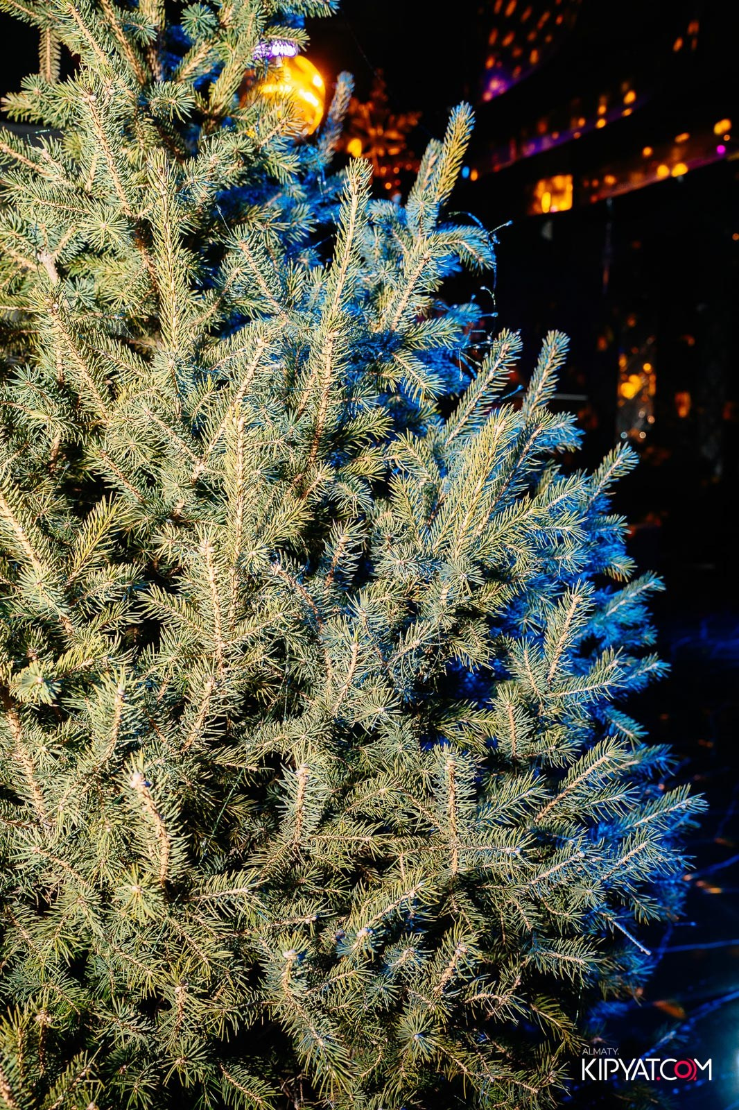 MOOD KARAOKE & TERRACE. КИПЯТКОМ АЛМАТЫ!