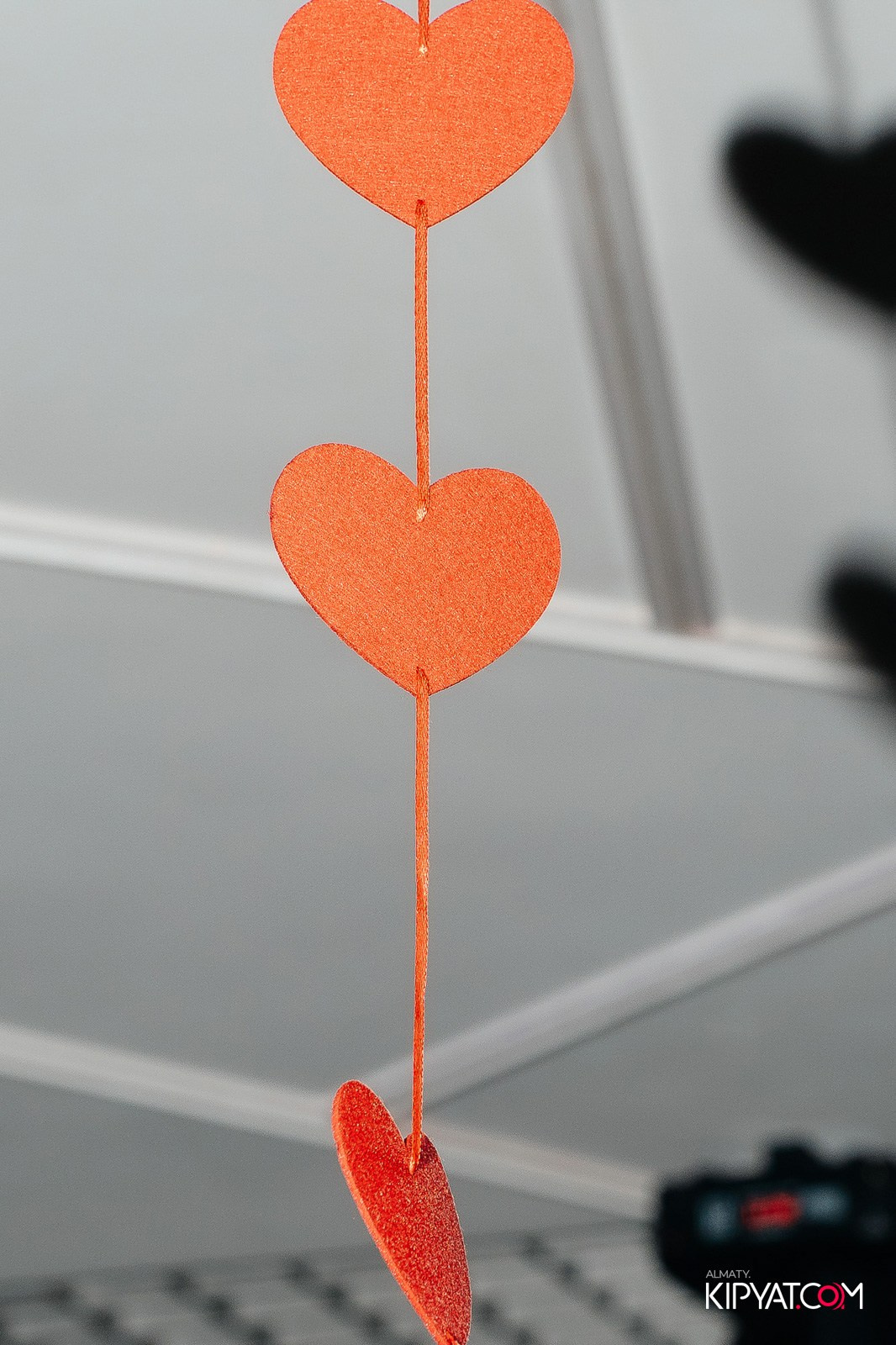 УХО И МЕДВЕДЬ НА КУРМАНГАЗЫ. КИПЯТКОМ АЛМАТЫ!