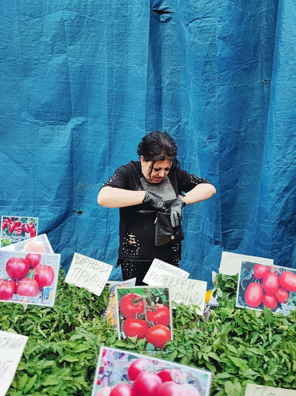 Намобилкус казахский. Репортажный фотограф Алексей Пирязев