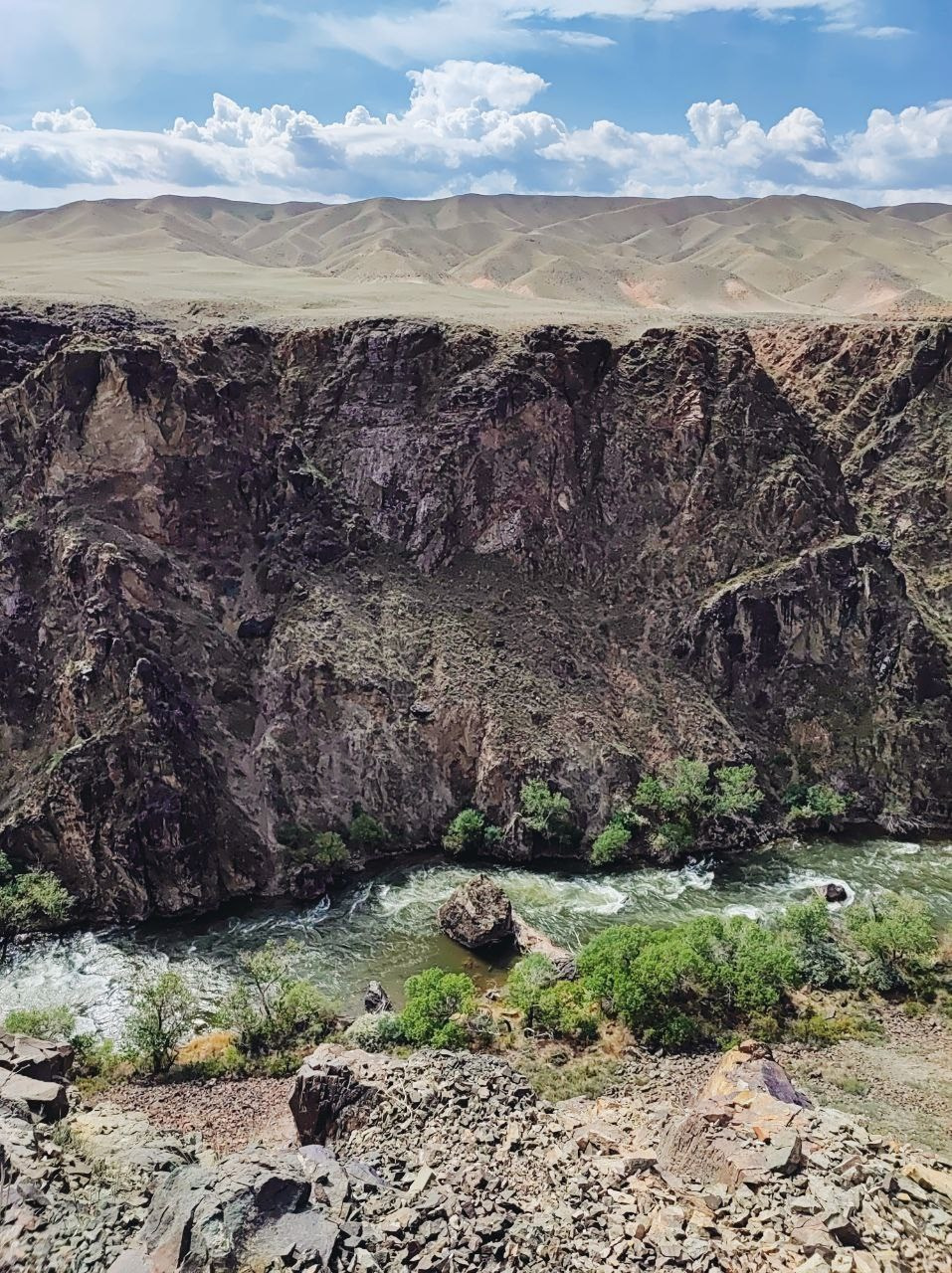 Намобилкус казахский. Репортажный фотограф Алексей Пирязев