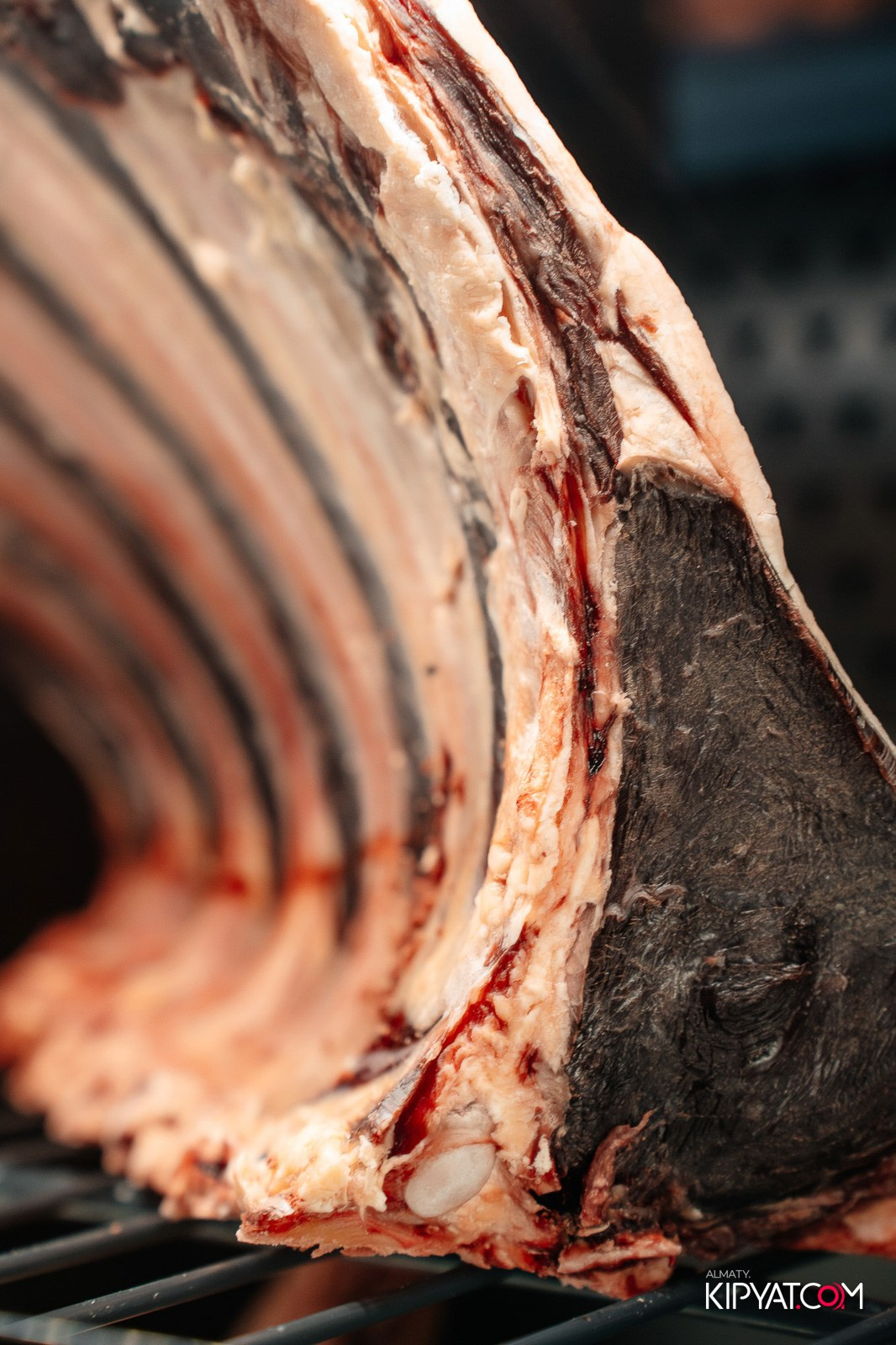 LAUREATE GRAND CAFÉ. КИПЯТКОМ АЛМАТЫ!