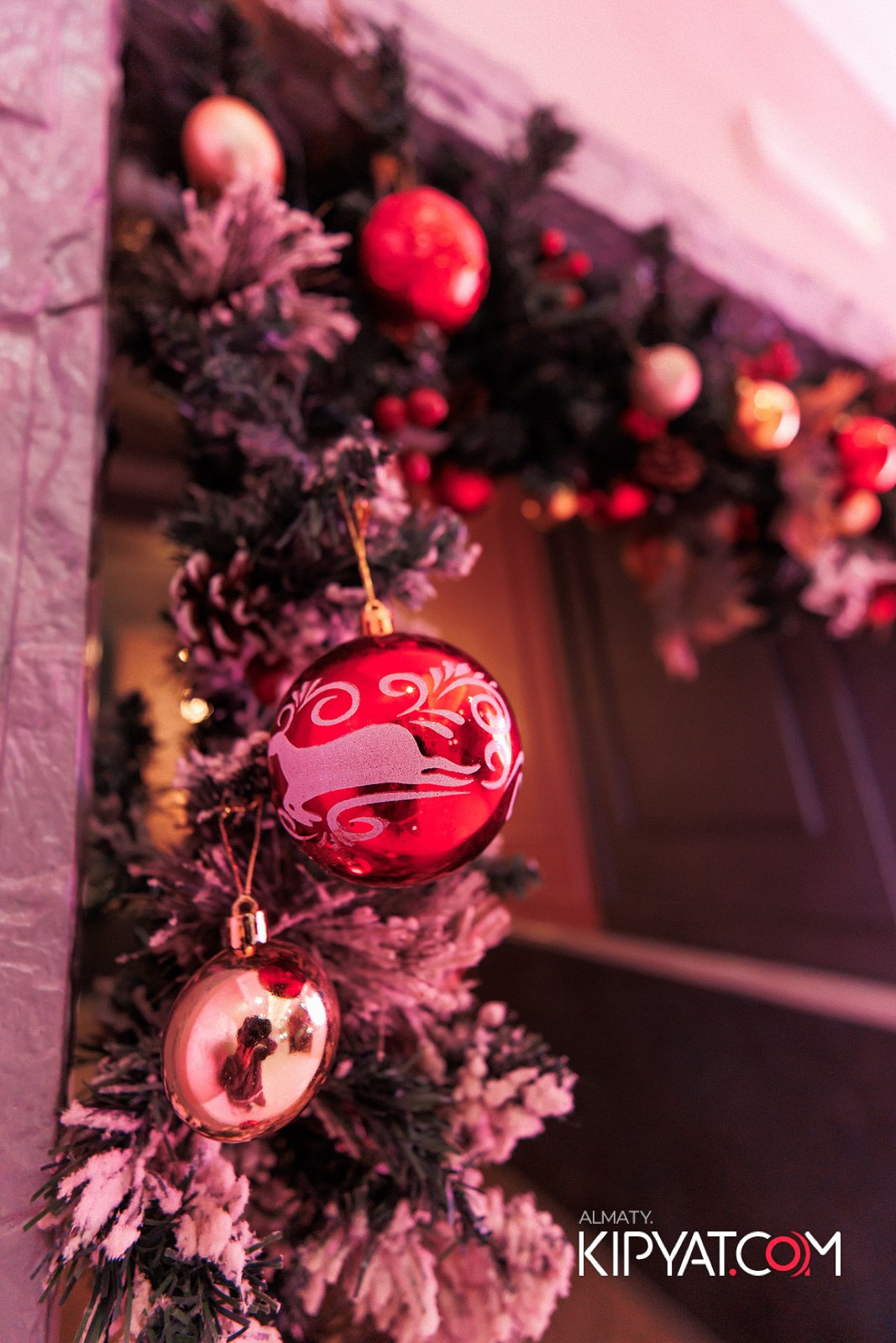 УХО И МЕДВЕДЬ НА КУРМАНГАЗЫ. КИПЯТКОМ АЛМАТЫ!