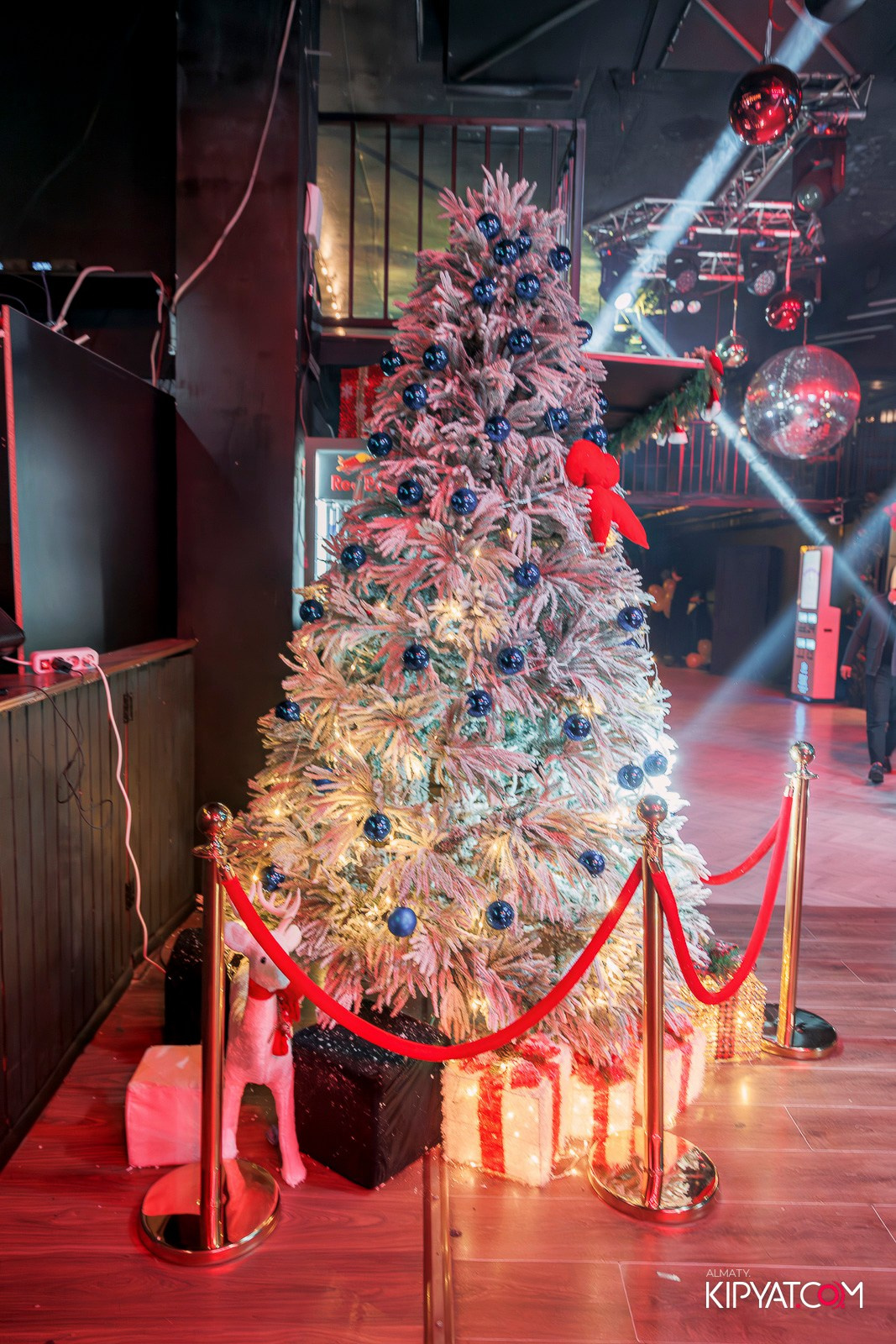 OBSIDIAN NIGHT CLUB. КИПЯТКОМ АЛМАТЫ! Фотосъемка мероприятий в Алматы