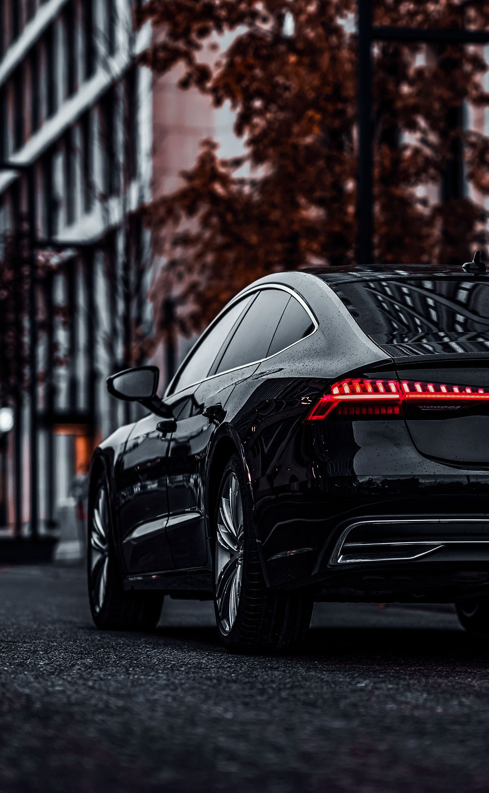 Авто. Фотограф и видеограф для бизнеса в Москве — фуд, рестораны, интерьер, контент | Sizov Studio