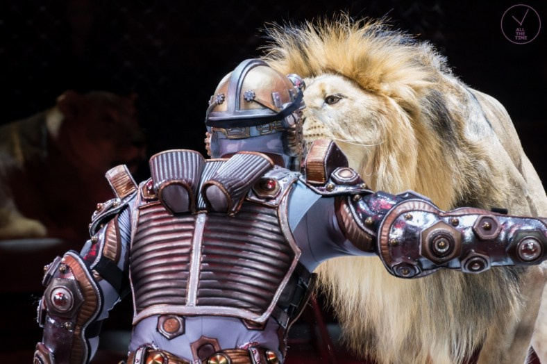 К.У.К.Л.А. Магия музыки в кадре: Концертная Фотография