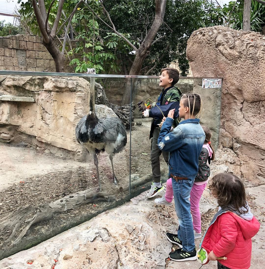 Anka`s Instagram. Заставка