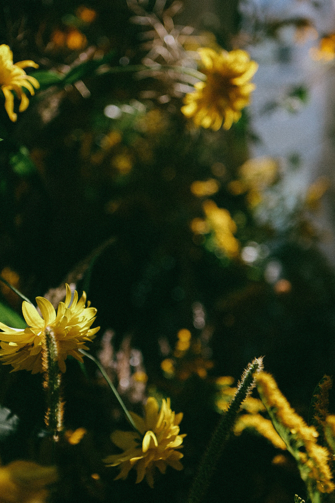 По ту сторону лета. Фотограф Нижний Новгород