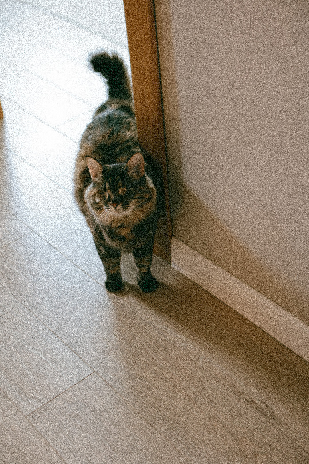 Family. Фотограф Нижний Новгород
